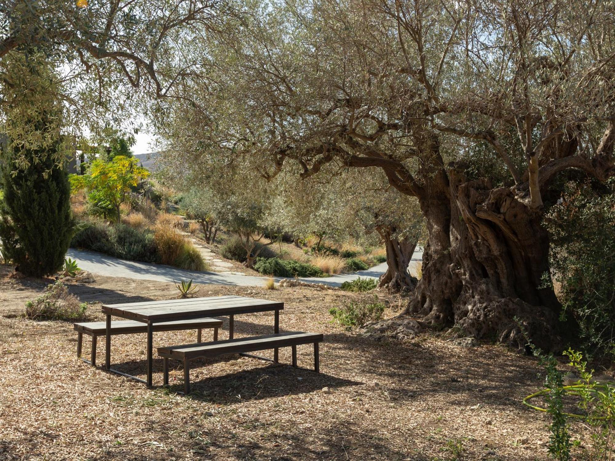 Buahjar Boutique Home Apartment Agrigento Dış mekan fotoğraf