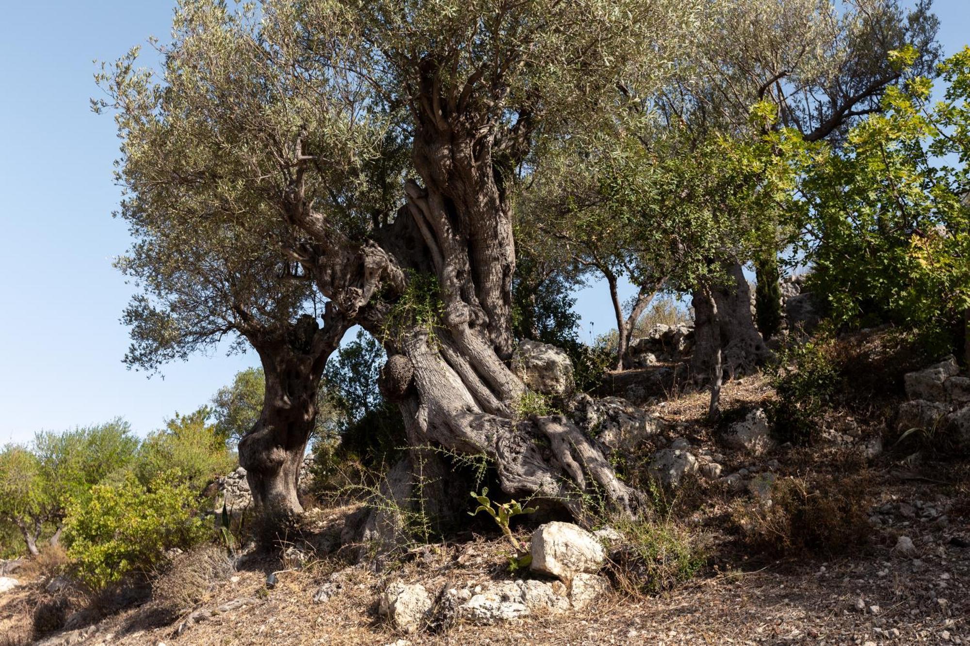 Buahjar Boutique Home Apartment Agrigento Dış mekan fotoğraf